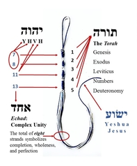 Did Yeshua (Jesus) Wear Tzitzit, the Traditional Jewish Fringes?